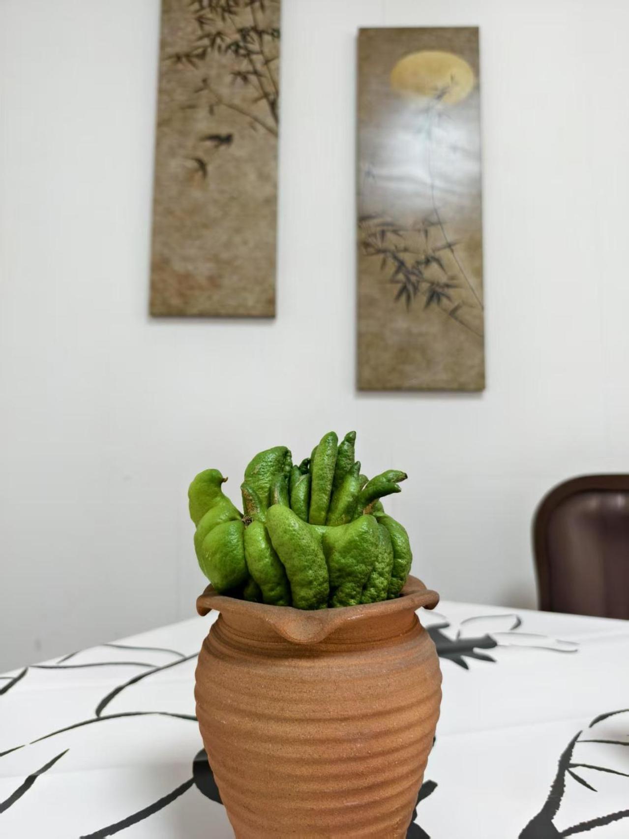 Lin Jiang Apartment 広州 エクステリア 写真
